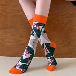 Fashion Colorful Spring Autumn Stocking  Women's Socks  Plant Hedgehog Slothsi Cotton Socks Personality Straight Trendy Socks